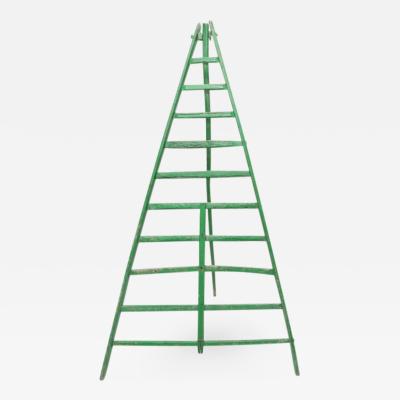 Huge Fruit Picking Ladder