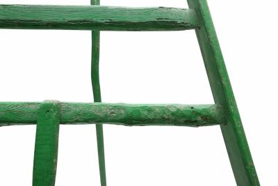 Huge Fruit Picking Ladder