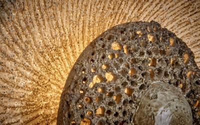 Huge Round Ceramic Wall Lamp in Grey Gray or Beige Denmark 1970s