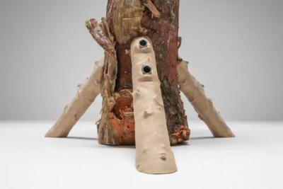 Hugging and Poking Shelf Contemporary Wooden Branch Shelf Schimmel Schweikle