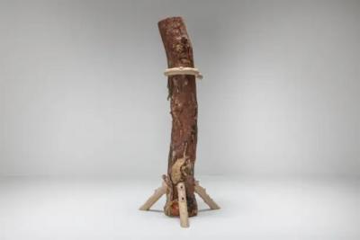 Hugging and Poking Shelf Contemporary Wooden Branch Shelf Schimmel Schweikle