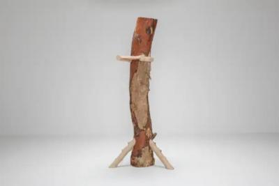 Hugging and Poking Shelf Contemporary Wooden Branch Shelf Schimmel Schweikle