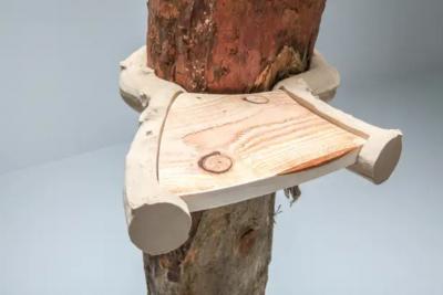 Hugging and Poking Shelf Contemporary Wooden Branch Shelf Schimmel Schweikle