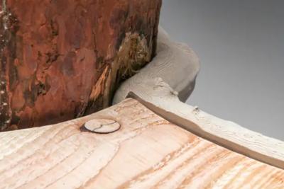 Hugging and Poking Shelf Contemporary Wooden Branch Shelf Schimmel Schweikle