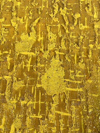 Hyunae Kang Hyun Ae Kang American Modern Mixed Media Chu Autumn in Korean Mixed Media Hyunae Kang