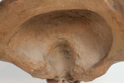 IMPORTANT TERRACOTTA BUST OF MADAME DU BARRY