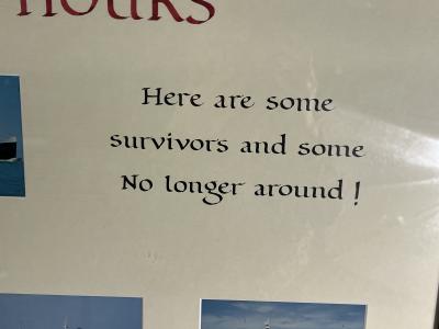 INTERESTING STEAMSHIP TRIBUTE ART