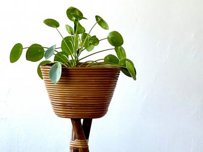 ITALIAN BAMBOO PLANT STANDS