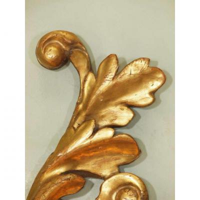 ITALIAN GOLD CARVED WOOD SCONCES