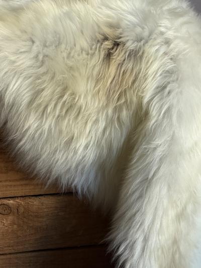 Icelandic Sheepskin