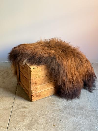 Icelandic Sheepskin