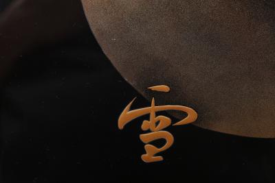 Ichinaka Gory Portable Tea Set with Snow Moon and Flowers T 4261 