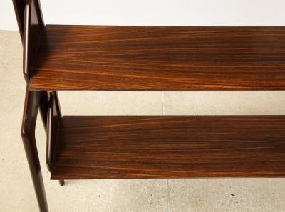 Ico Parisi Sculptural Bookcase in the manner of Ico Parisi