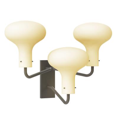 Ignazio Gardella Ignazio Gardella Galleria 3 Arm Wall Lamp for Tato Italia