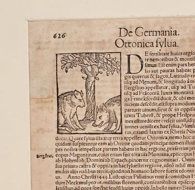 Illustrated Page from a Treatise Germany circa 1700