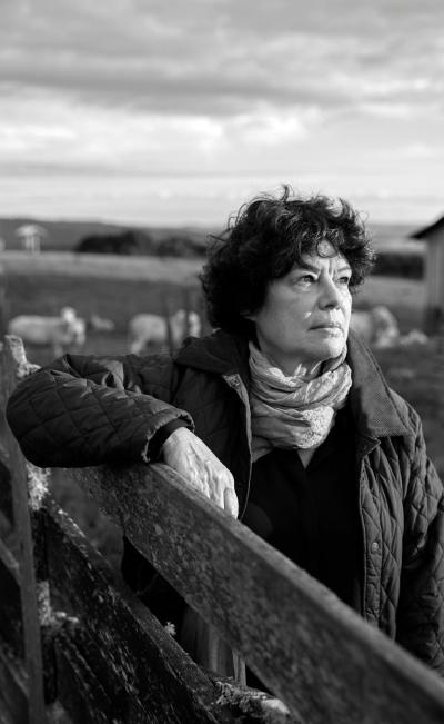 In s Schertel Charrua Felted Wool Vase in Natural Colors by In s Schertel Brazil 2019