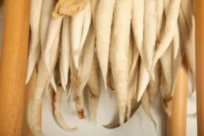 In s Schertel Florada Stool in Wool and Wood by In s Schertel Brazil 2021