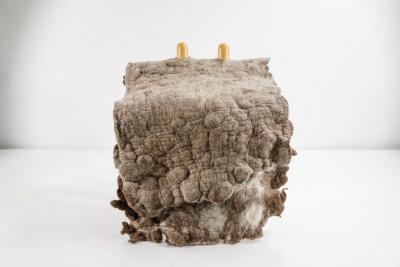 In s Schertel Tapera Little Chair in Wool and Tauari Wood by In s Schertel Brazil 2019