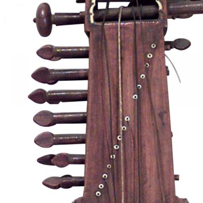 Indian 25 String Instrument