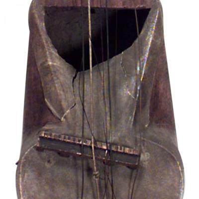 Indian 25 String Instrument