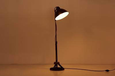 Industrial Height Adjustable Floor Lamp Bauhaus