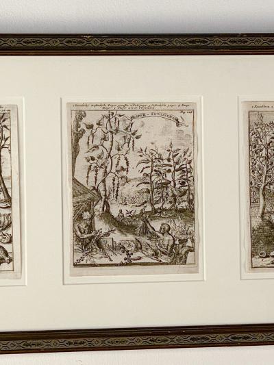 Industries and Culture of the West Indies Dutch circa 1660