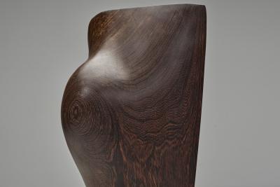 Ineke van Zuuren Breathing Sculpture by Ineke van Zuuren The Netherlands 1970s