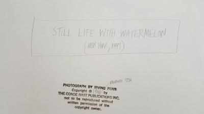 Irving Penn Still life with Watermelon NY