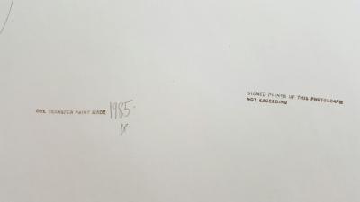 Irving Penn Still life with Watermelon NY