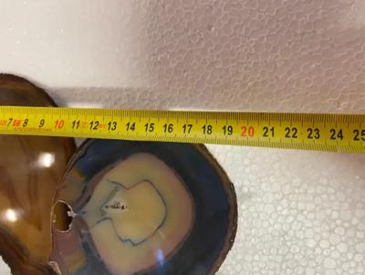 Isabelle Faure 1970 Pair Of Butterfly Sconces In Bronze Or Brass Duval Brasseur Or I Faure