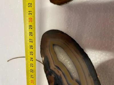 Isabelle Faure 1970 Pair Of Butterfly Sconces In Bronze Or Brass Duval Brasseur Or I Faure