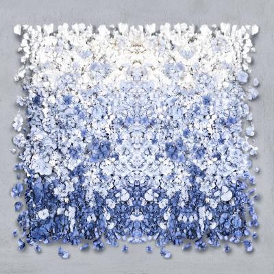 Isabelle van Zeijl Blue Sky 6 2 APs 
