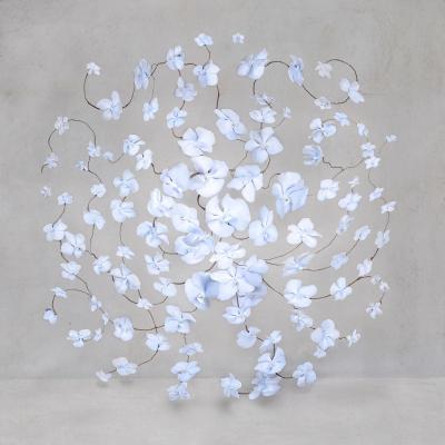 Isabelle van Zeijl Electric Blue