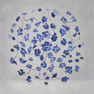 Isabelle van Zeijl Infinite Blue 3 2 APs 