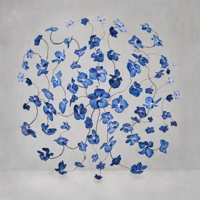 Isabelle van Zeijl Infinite Blue