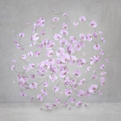 Isabelle van Zeijl Infinite Pink 12 