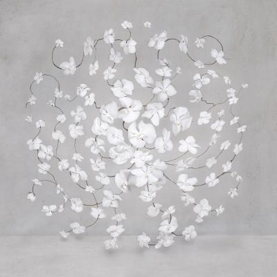 Isabelle van Zeijl Infinite White