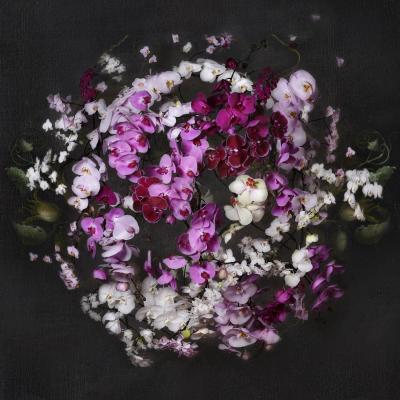 Isabelle van Zeijl New Earth