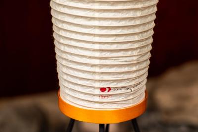 Isamu Noguchi Isamu Noguchi Akari 14A Floor Lamp