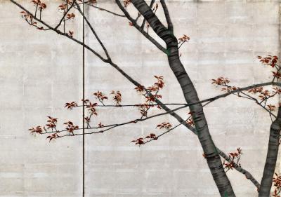 Isobe Hyakurin 1895 Meiji Japanese Screen Pair Cherry Blossoms Autumn Maples on Silver Leaf
