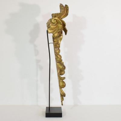 Italian 17th 18th Century Giltwood Baroque Ornament