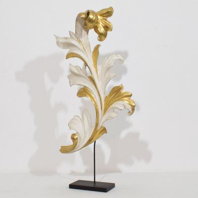 Italian 18 19th Century Hand Carved Giltwood Acanthus Leaf Curl Ornament