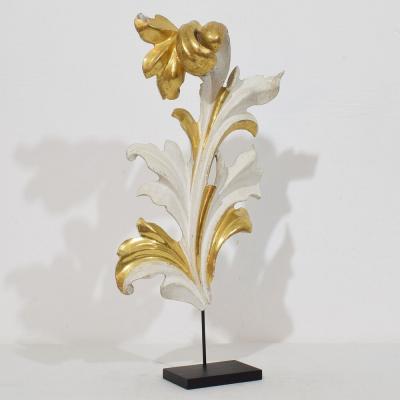 Italian 18 19th Century Hand Carved Giltwood Acanthus Leaf Curl Ornament 