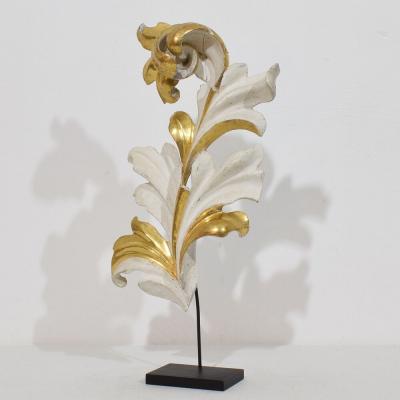 Italian 18 19th Century Hand Carved Giltwood Acanthus Leaf Curl Ornament 