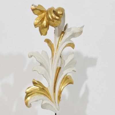 Italian 18 19th Century Hand Carved Giltwood Acanthus Leaf Curl Ornament 