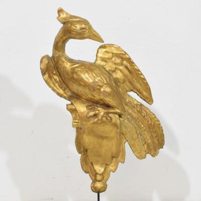 Italian 18th Century Carved Giltwood Neo Classical Style bird Ornament