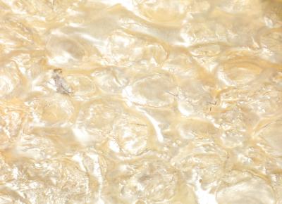 Italian 1930s Mother of Pearl Hand Carved Table