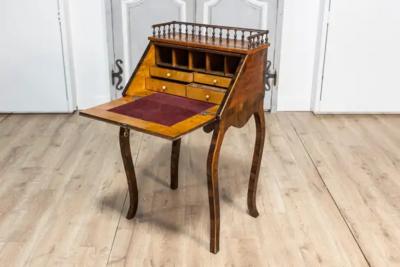 Italian 19th Century Walnut and Mahogany Writing Table with Slant Front Desk