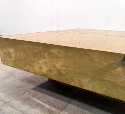 Italian Burl Wood Coffee Table with Brass Frame 1970s