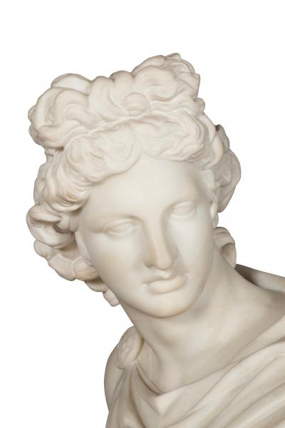Italian Carrara Marble Bust Of The Apollo Belvedere